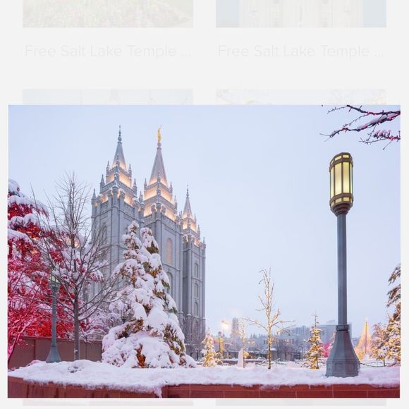 Meet your Posher, Mindy - Picture 1 of 1